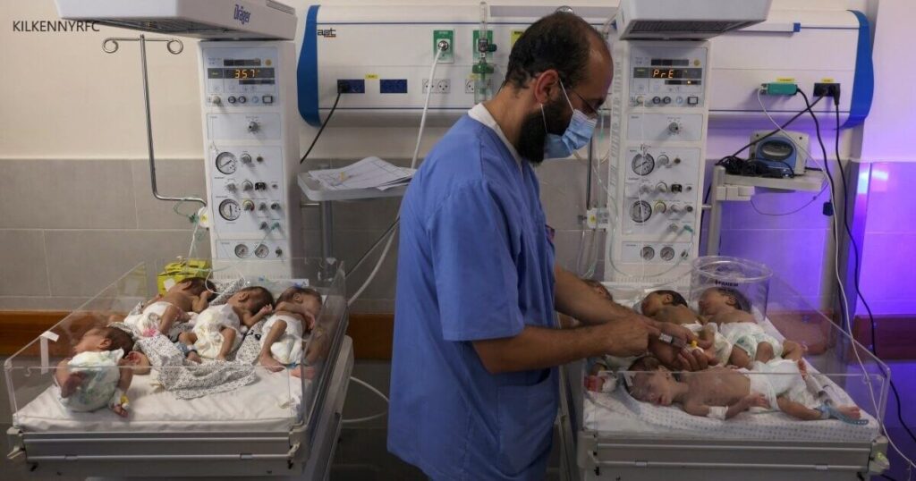 ทารก คลอดก่อนกำหนดในฉนวนกาซาอพยพไปยังอียิปต์ ทารกคลอดก่อนกำหนดจำนวน 28 รายที่ได้รับการอพยพจากโรงพยาบาลที่ใหญ่ที่สุด